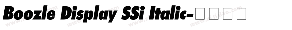 Boozle Display SSi Italic字体转换